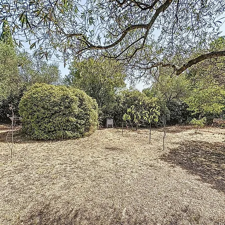 Les Olivettes By Interhome