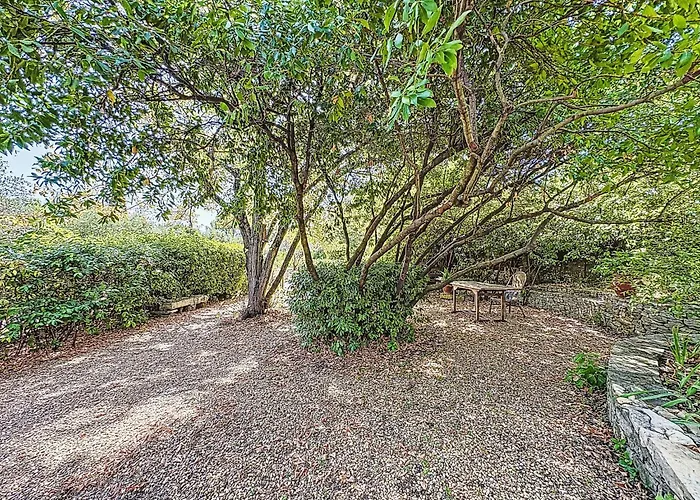 Les Olivettes By Interhome Ferienhaus *