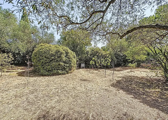 Les Olivettes By Interhome